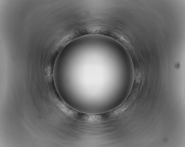 X0000091860670200709051209