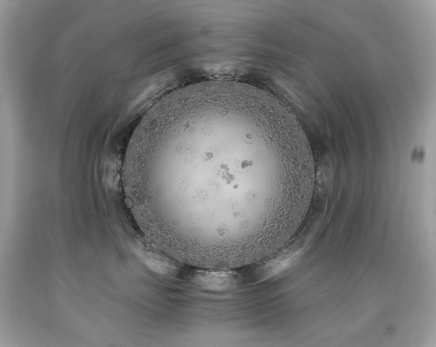 X0000091860671200709051209