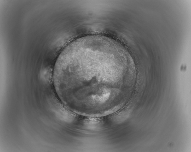 X0000091860672200709051209