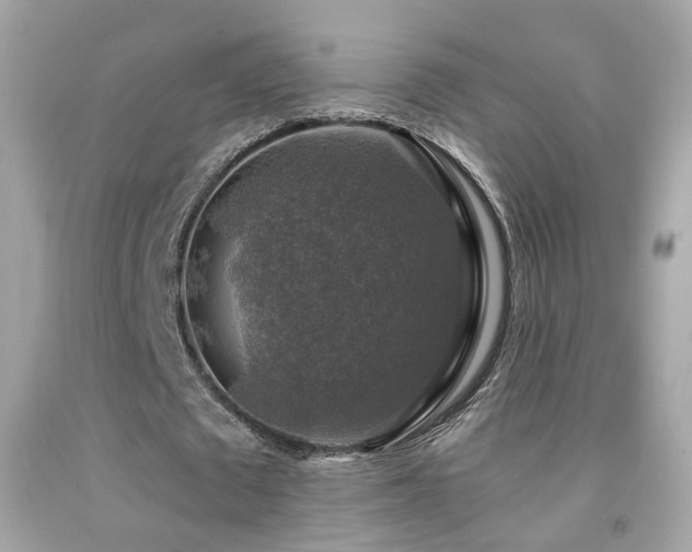 X0000091860673200709051209