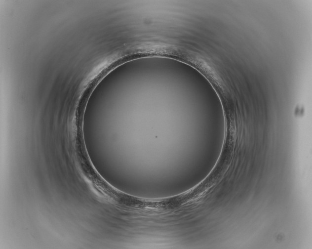 X0000091860674200709051209