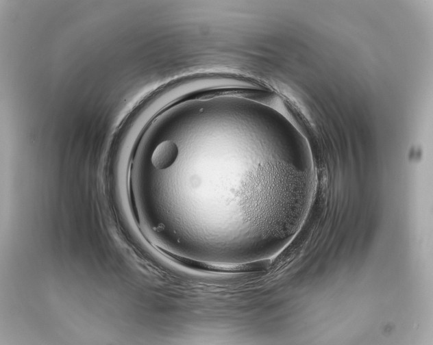 X0000091860676200709051209