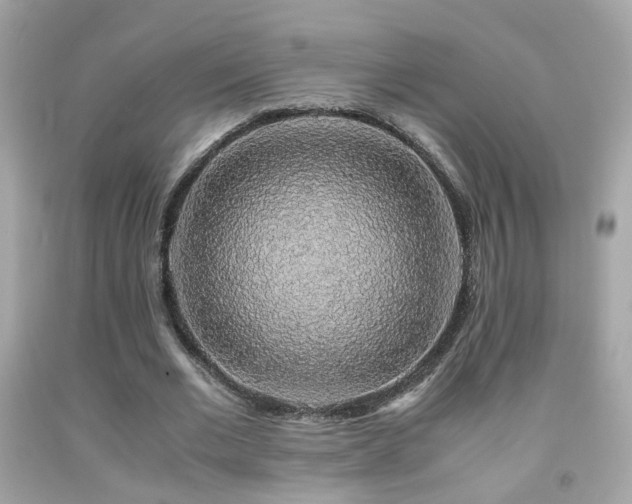 X0000091860677200709051209