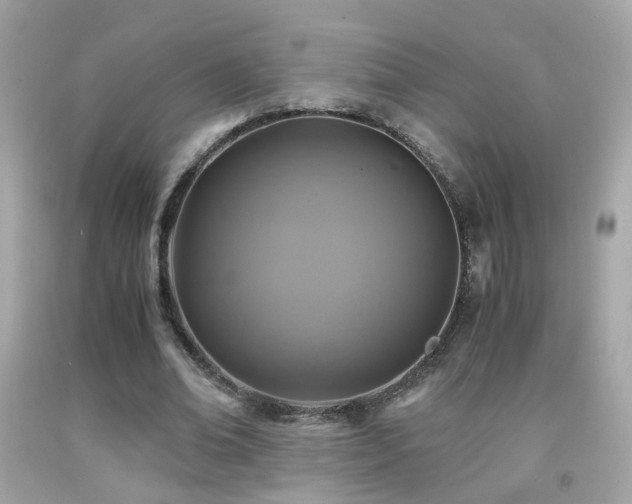 X0000091860678200709051209