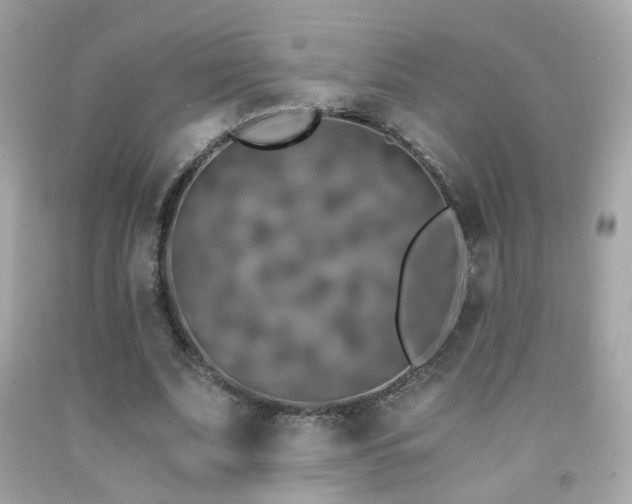 X0000091860679200709051209