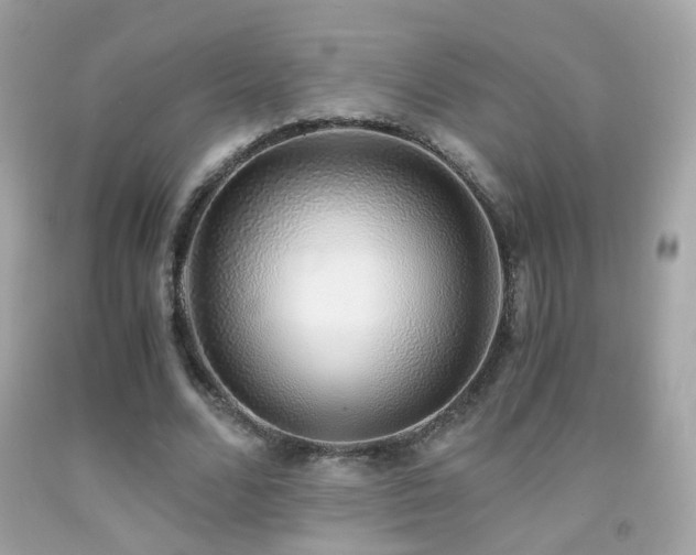 X0000091860680200709051209