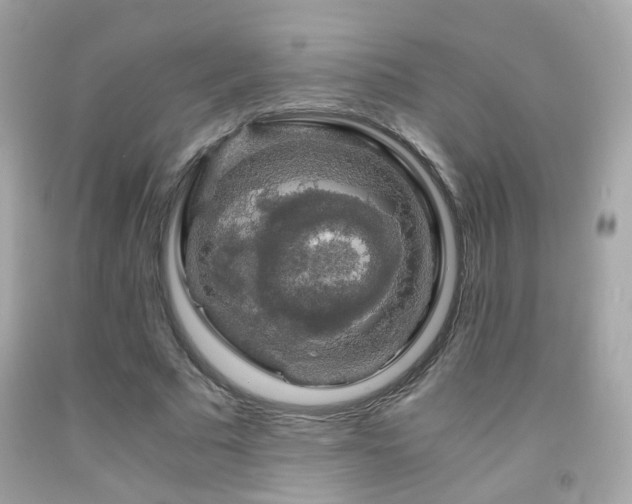 X0000091860681200709051209