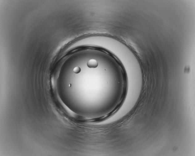 X0000091860684200709051209