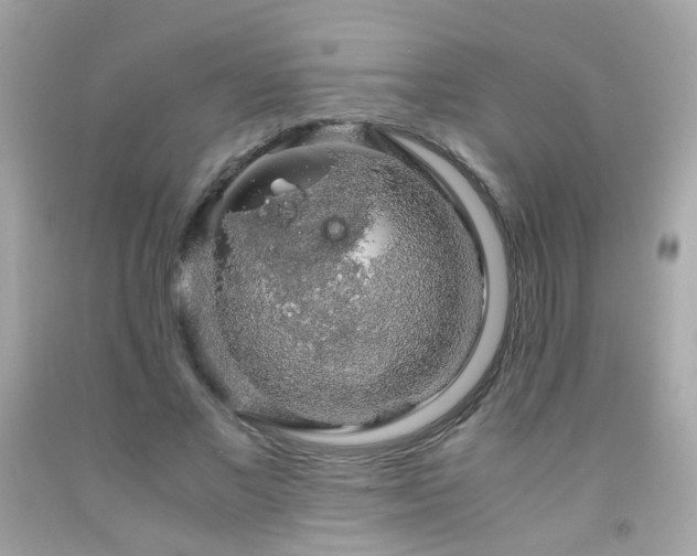 X0000091860685200709051209