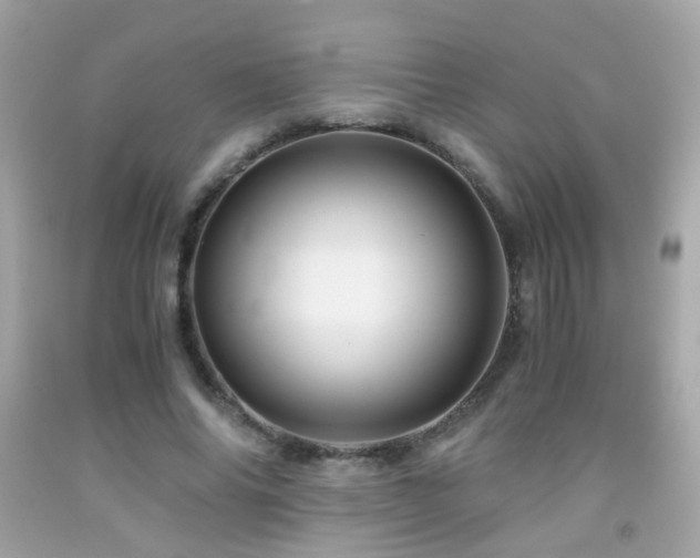 X0000091860686200709051209
