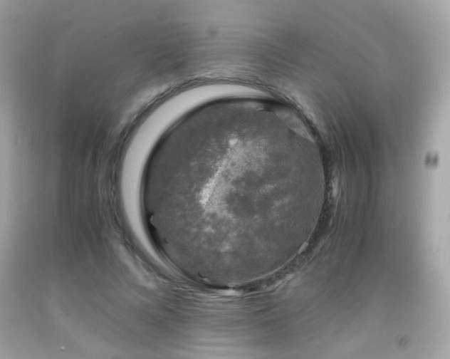 X0000091860688200709051209
