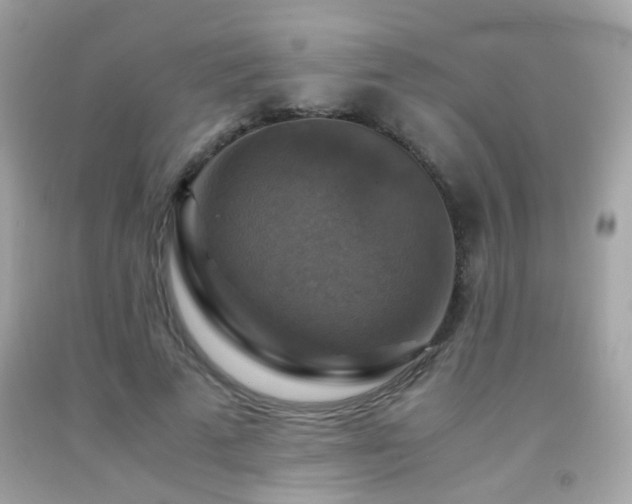 X0000091860689200709051209