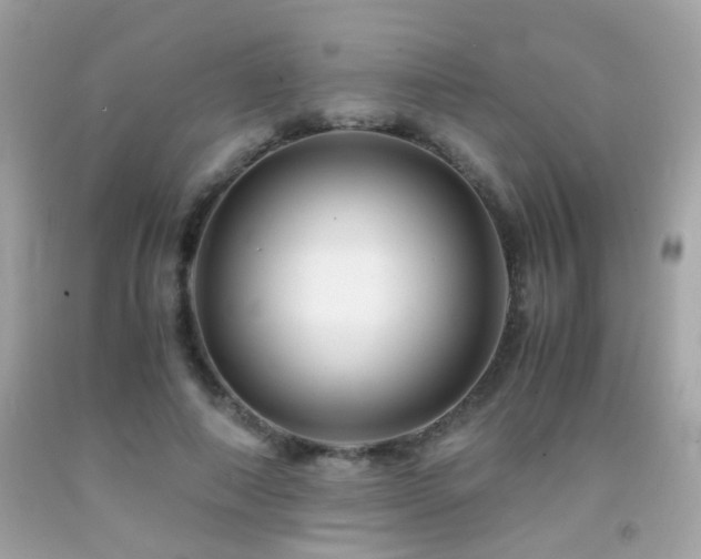 X0000091860690200709051209