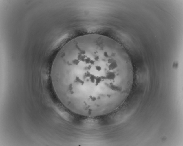 X0000091860691200709051209