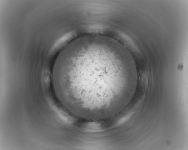 X0000091860692200709051209