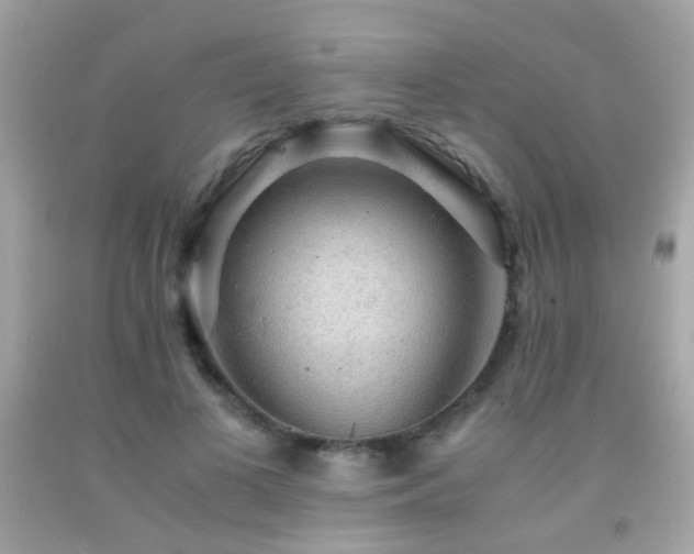 X0000091860693200709051209