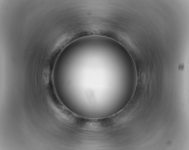 X0000091860694200709051209