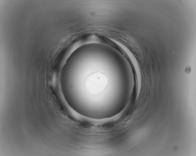 X0000091860697200709051208