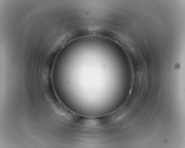 X0000091860698200709051208