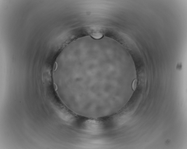 X0000091860699200709051208