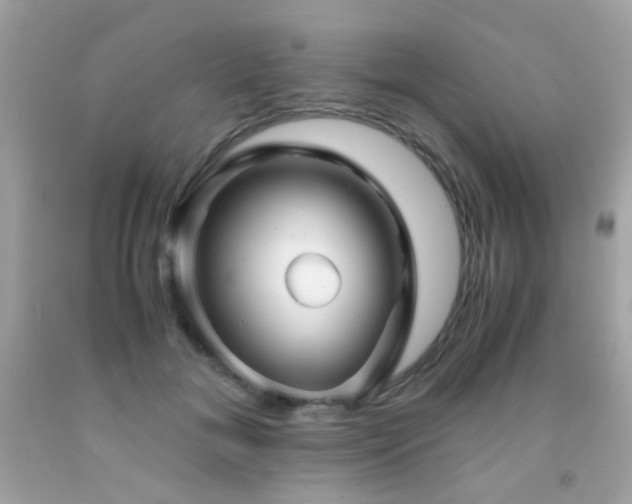 X0000091860700200709051208