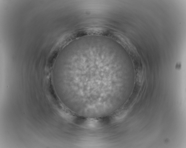 X0000091860701200709051208