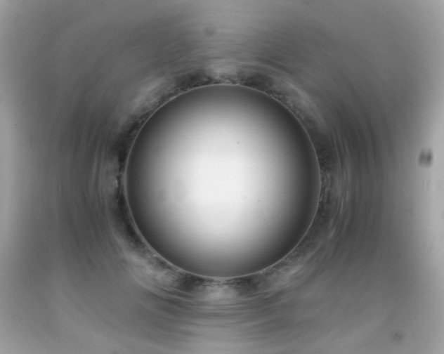 X0000091860702200709051208