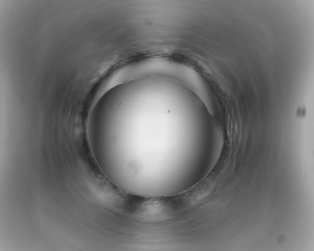 X0000091860704200709051208