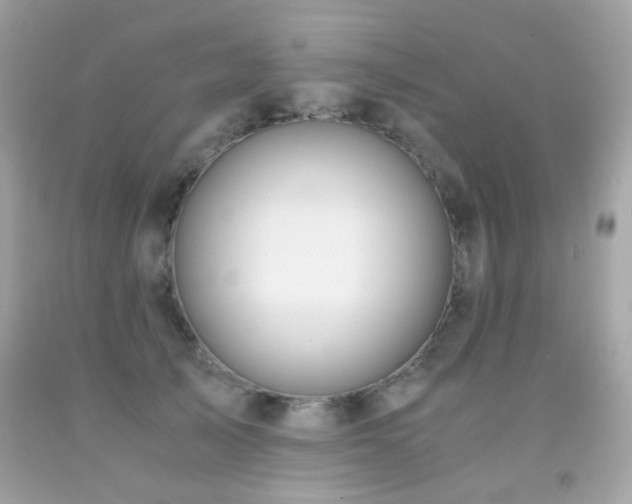 X0000091860705200709051208