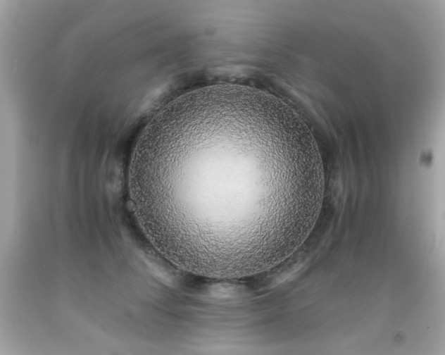 X0000091860708200709051208