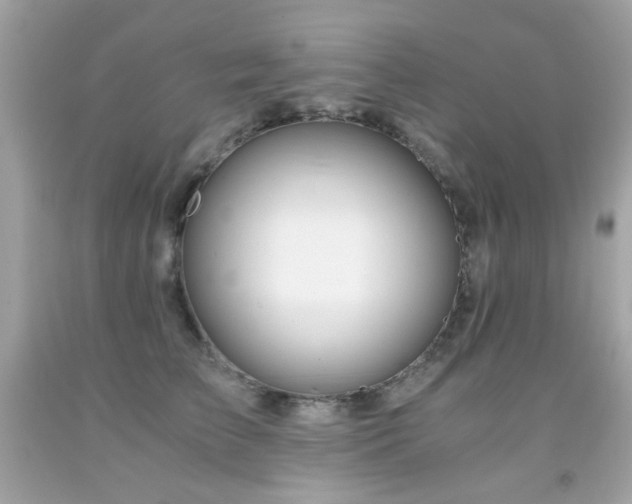 X0000091860709200709051208