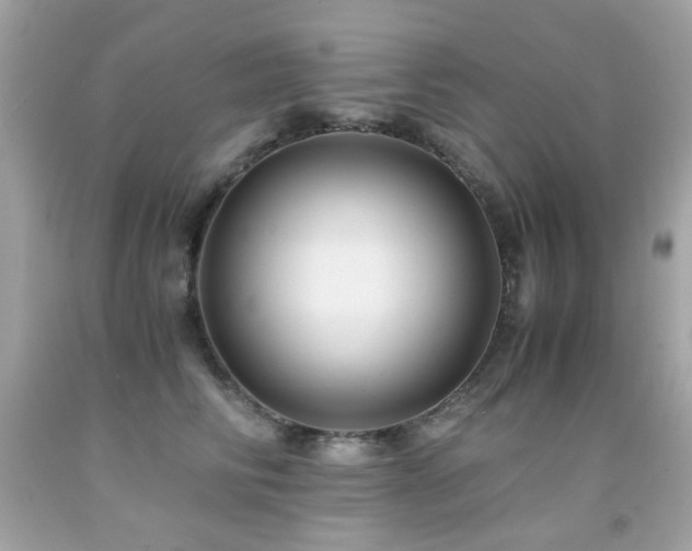 X0000091860710200709051208