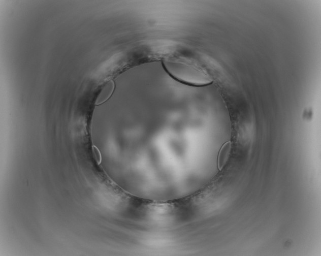 X0000091860711200709051208