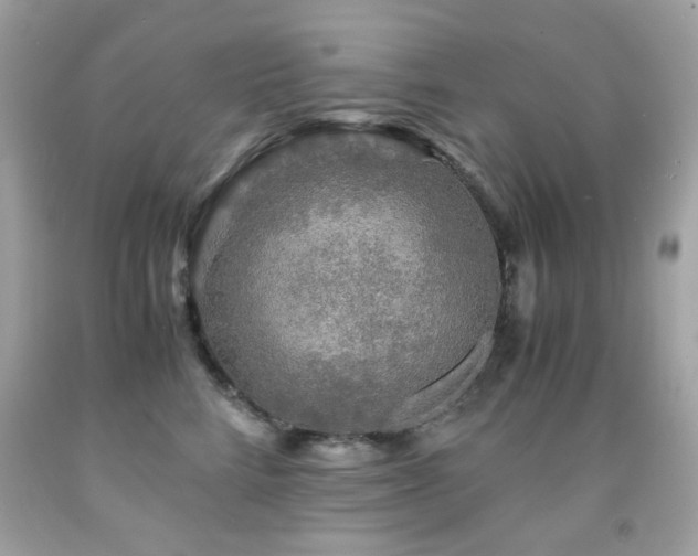 X0000091860712200709051208
