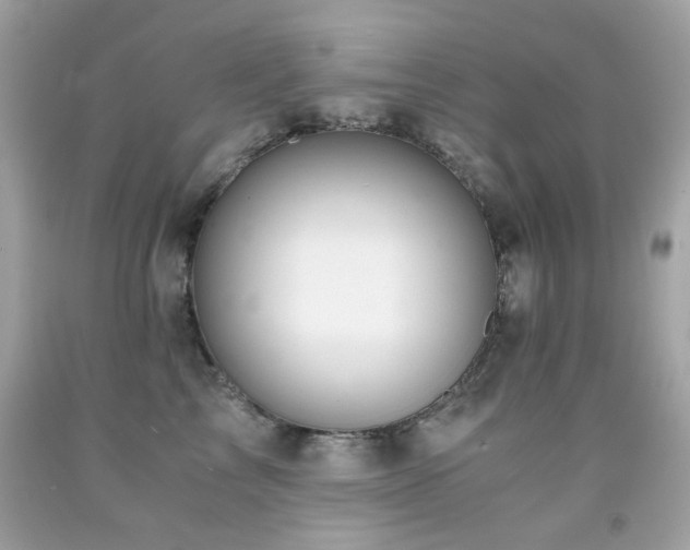 X0000091860713200709051208