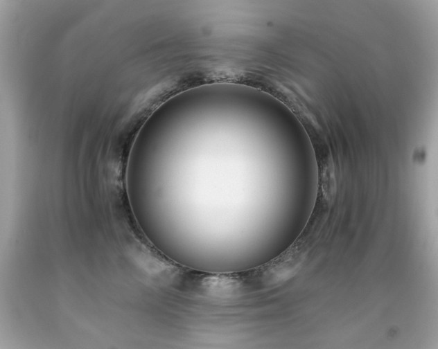 X0000091860714200709051208