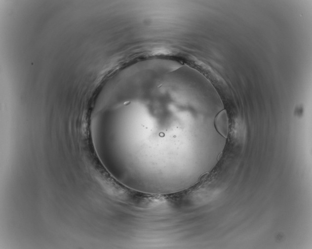 X0000091860715200709051208