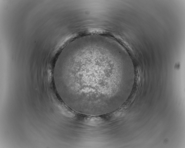X0000091860716200709051208