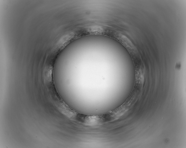 X0000091860717200709051208