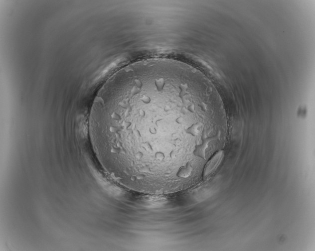 X0000091860719200709051208