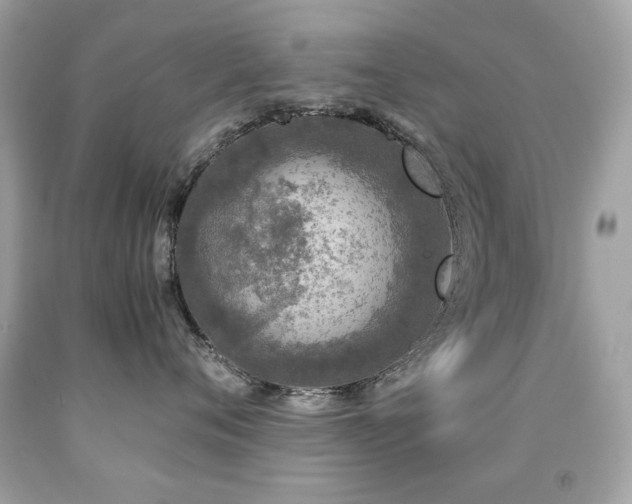 X0000091860720200709051208