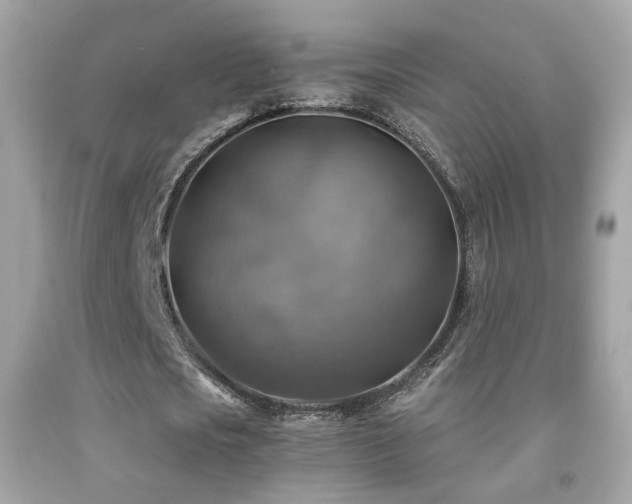 X0000091860721200709051207