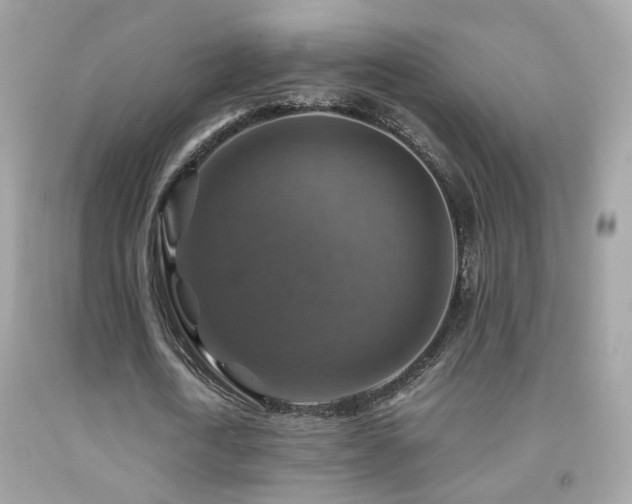 X0000091860722200709051207