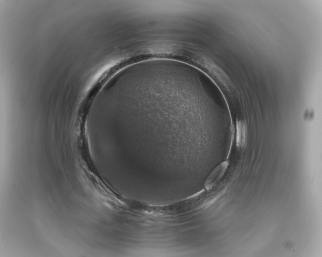 X0000091860723200709051207
