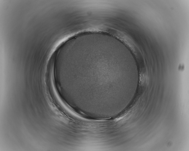 X0000091860724200709051207