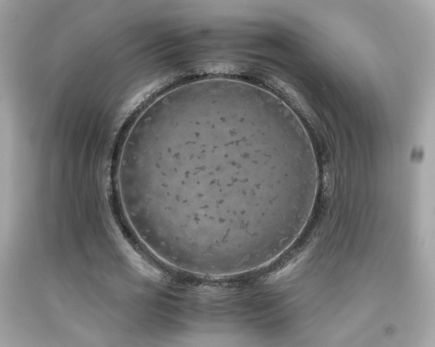 X0000091860725200709051207