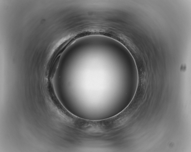 X0000091860727200709051207