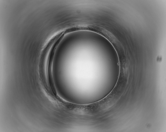 X0000091860728200709051208