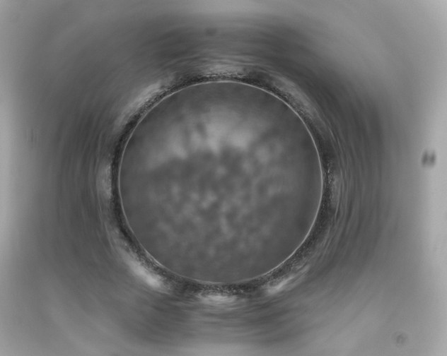 X0000091860729200709051208