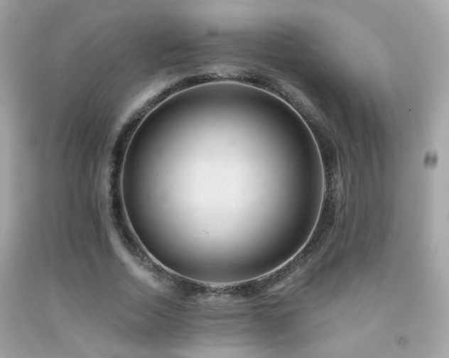 X0000091860730200709051208